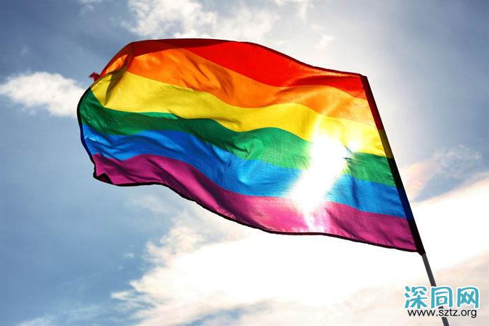 黑山:蒙特内哥罗承认同性伴侣法定关係